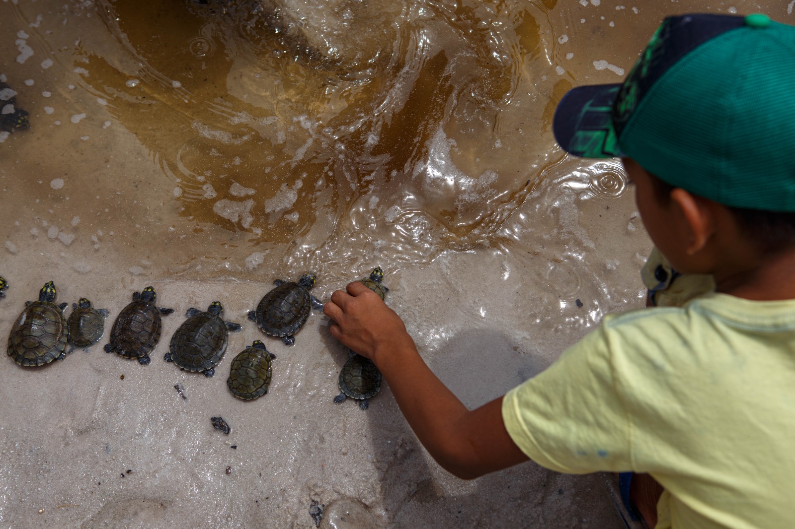 04 - 22ª Soltura de Quelônios da RDS do Uatumã - Foto_Lucas Silva - Amazonastur
