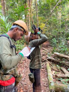 Imagem da notícia - RDS do Juma finaliza atividades anuais de monitoramento da biodiversidade 