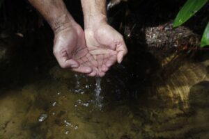 Imagem da notícia - Dia da Água: Amazonas avança na gestão de recursos hídricos do Estado
