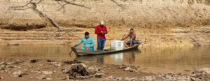 Imagem da notícia - Estudo avalia potencial econômico da pesca ornamental na RDS do Juma