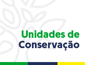 Imagem em destaque
