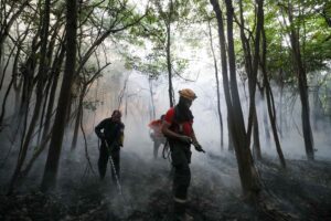 Imagem da notícia - Governo do Amazonas contrata brigadistas para reforçar combate às queimadas