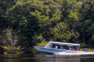 Imagem da notícia - Governo do Amazonas garante 13 milhões de euros para execução de projeto pelo Fundo Floresta