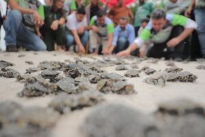 Imagem da notícia - Amazonas captou mais de R$ 75 milhões para projetos ambientais nos primeiros 100 dias de 2023