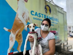 Imagem da notícia - Shopping ViaNorte receberá ação itinerante do Castramóvel a partir desta quinta-feira (02/03)