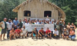 Imagem da notícia - Em sua primeira soltura, RDS Juma devolve 604 filhotes de quelônios à natureza