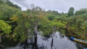 Imagem da notícia - Oficina de capacitação une Meio Ambiente e Segurança Pública para submeter projeto ao Fundo Amazônia