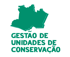 Imagem em destaque