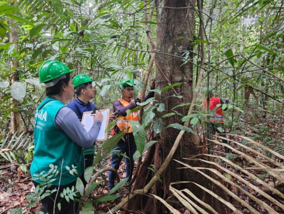 Idam e Sema iniciam tratativas para elaboração de plano de manejo florestal em Beruri