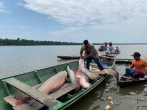 Imagem da notícia - Município de Juruá ganha novo acordo de pesca com benefício para mais de 450 pescadores 