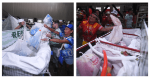 Imagem da notícia - Festival de Parintins 2024: Bumbás disputam terceiro título de Campeão Sustentável 