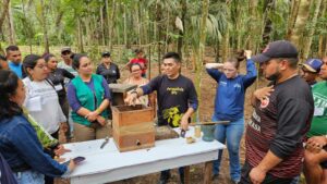 Imagem da notícia - Intercâmbio de meliponicultura impulsiona produção de mel de abelhas sem ferrão nas UCs do Amazonas