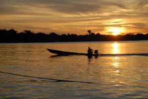 Imagem da notícia - Sema institui Grupo de Trabalho para elaborar Plano de Bioeconomia para Unidades de Conservação
