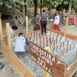 Imagem da notícia - RDS Rio Amapá ganha estrutura para iniciar monitoramento de quelônios