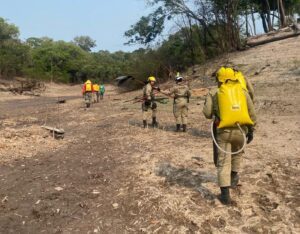 Imagem da notícia - Unidades de Conservação do Baixo Rio Negro recebem ações de combate integrado a focos de incêndio