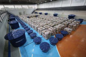 Imagem da notícia - Governo do Amazonas divulga boletim sobre a estiagem no estado, neste sábado