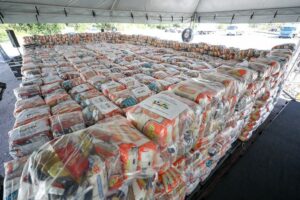 Imagem da notícia - Governo do Amazonas divulga boletim sobre a estiagem no estado, nesta terça-feira