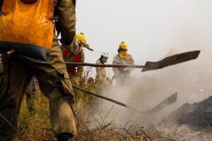 Imagem da notícia - Governo do Amazonas divulga boletim sobre a estiagem no estado, nesta quinta-feira