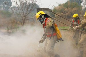 Imagem da notícia - Governo do Amazonas divulga boletim sobre a estiagem no estado, nesta segunda-feira