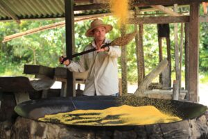 Imagem da notícia - Eco Amazônia: Governo do Amazonas prepara feira integrada para celebrar Semana do Meio Ambiente