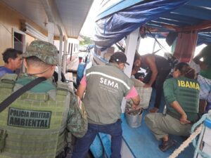 Imagem da notícia - Sema apoia operação de apreensão de quatro toneladas de pescado ilegal na RDS Piagaçu-Purus