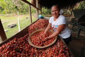 Imagem da notícia - Eco Amazônia: Programação terá painéis e palestras na Semana do Meio Ambiente