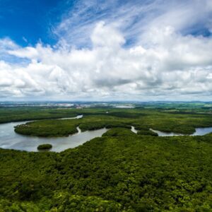 Imagem da notícia - Amazonas tem queda de 93,4% nos registros de focos de calor em julho de 2025