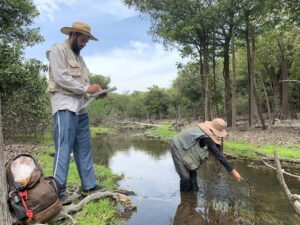 Imagem da notícia - Com apoio do Governo do Amazonas, pesquisa identifica mais de 11,3 mil insetos aquáticos na RDS do Uatumã