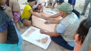 Imagem da notícia - Sema e Forças de Segurança recuperam mais de 250 quelônios capturados ilegalmente em Canutama e Lábrea