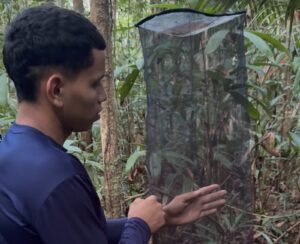 Imagem da notícia - Governo do Amazonas realiza monitoramento da biodiversidade em Unidades de Conservação da BR-319