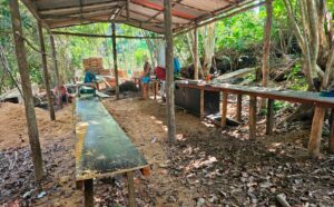 Imagem da notícia - Operação Rio Negro resulta em R$ 427,8 mil em multas por crimes ambientais em Unidades de Conservação do Amazonas