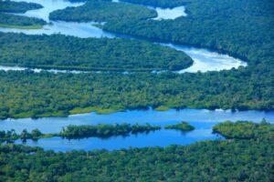 Imagem da notícia - Amazonas tem a menor taxa de desmatamento desde 2017, aponta Prodes