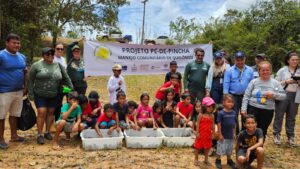 Sema realiza soltura de mais de 5 mil tracajás na Reserva de Desenvolvimento Sustentável …