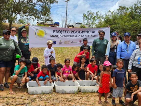 Sema realiza soltura de mais de 5 mil tracajás na Reserva de Desenvolvimento Sustentável Igapó-Açu