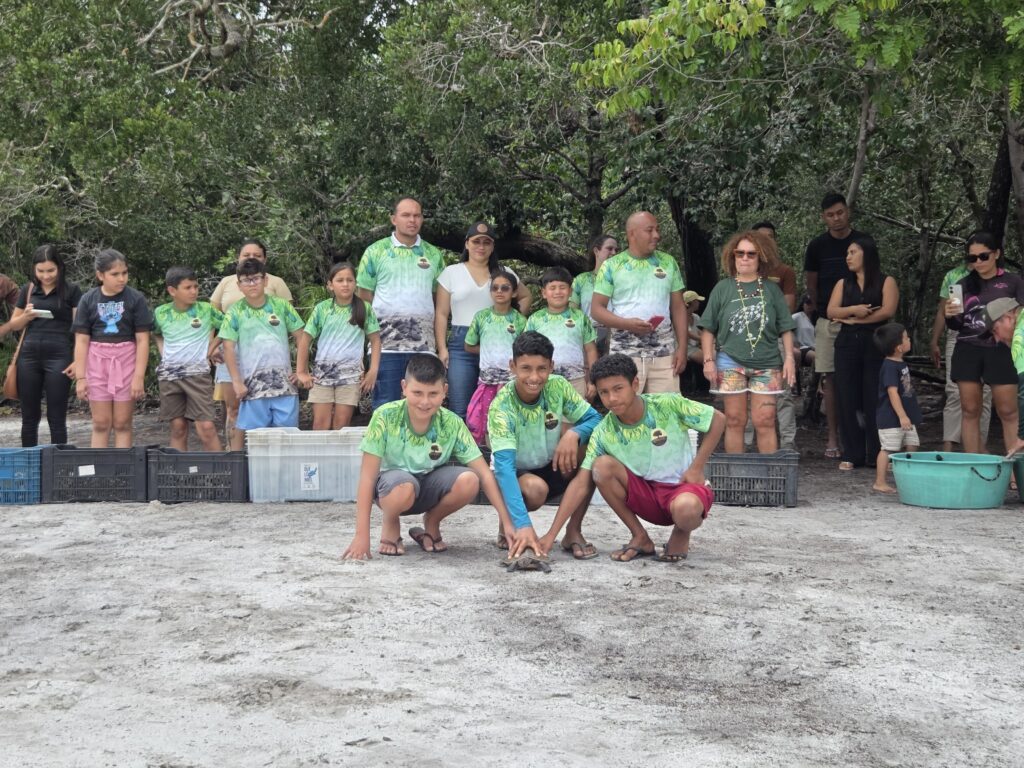 SOLTURA DE QUELONIOS UATUMA 20264 scaled