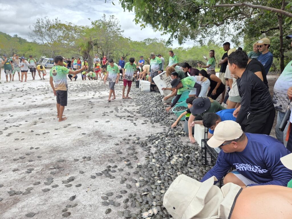 SOLTURA DE QUELONIOS UATUMA 20265 scaled