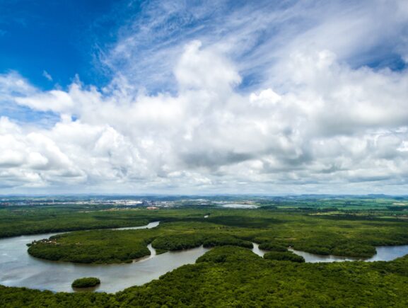 Amazonas atualiza regras para regularização de Territórios de Uso Comum de povos indígena…