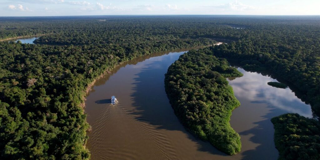 Ipaam Reducao desmatamento Amazonas em 2025 MapBiomas Credito da foto 1 Reproducao Internet 28 05 2