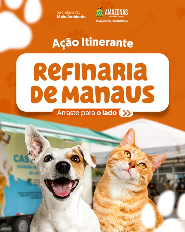 Uma ação itinerante do Castramóvel acontece, nesta semana, na Refinaria de Manaus, no Distrito Industrial. 🐶🐱

Quer garantir castração do seu animalzinho? Então, se liga:

➡️ Dia 04/11: Agendamento para castrações.

➡️ Dias 5, 6, 7 e 8/11: Castrações para animais previamente agendados.

Serão 350 senhas entregues. Arraste para o lado para conferir mais detalhes. 👆

#MeioAmbienteAM #GovAM #GovernoDoAmazonas #SemaAmazonas