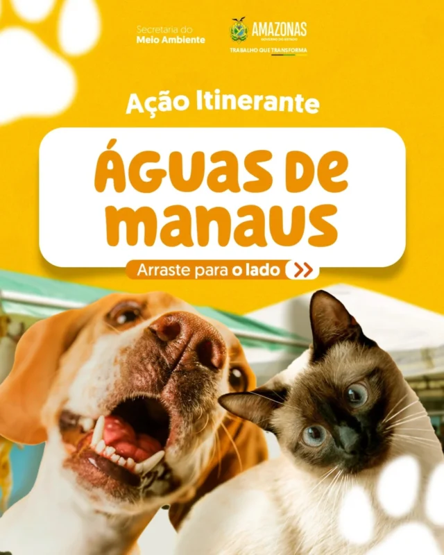 Uma ação itinerante do Castramóvel acontece, neste fim de semana, na Águas de Manaus, na Cosme Ferreira. 🐶🐱

Quer garantir castração do seu animalzinho? Então, se liga:

➡️ Dia 08/11: Agendamento para castrações.

➡️ Dia 09/11: Castrações para animais previamente agendados.

Serão 100 senhas entregues para castração. Arraste para o lado para conferir mais detalhes. 👆

#MeioAmbienteAM #GovAM #GovernoDoAmazonas #SemaAmazonas